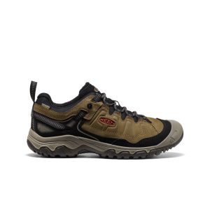 Men's Targhee IV Waterproof Hiking Shoe | Dark Olive/Gold Flame